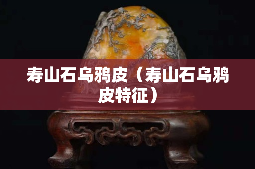 壽山石烏鴉皮（壽山石烏鴉皮特征）