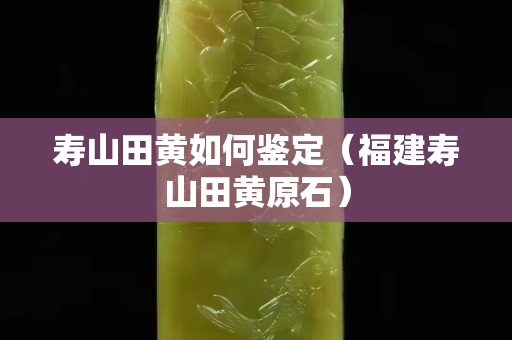 壽山田黃如何鑒定（福建壽山田黃原石）