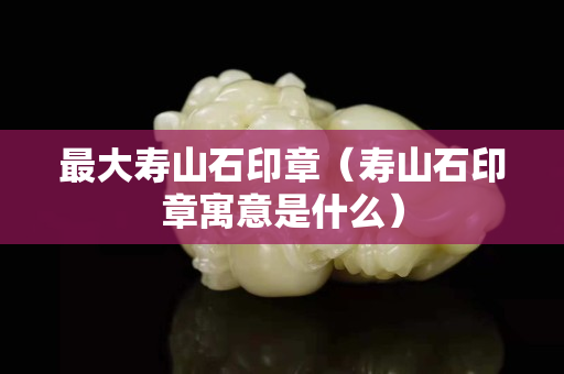 最大壽山石印章（壽山石印章寓意是什么）