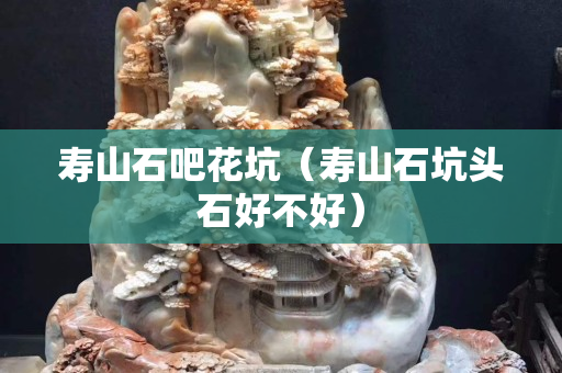 壽山石吧花坑（壽山石坑頭石好不好）
