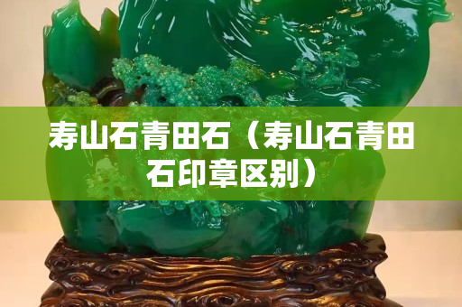 壽山石青田石（壽山石青田石印章區(qū)別）