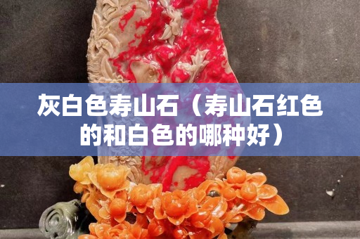 灰白色壽山石（壽山石紅色的和白色的哪種好）
