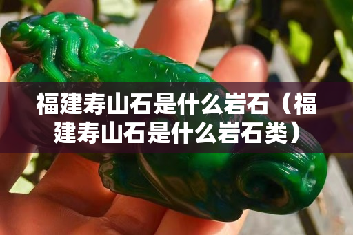 福建壽山石是什么巖石（福建壽山石是什么巖石類）