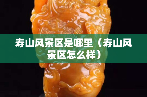 壽山風(fēng)景區(qū)是哪里（壽山風(fēng)景區(qū)怎么樣）