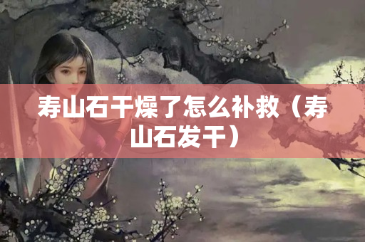 壽山石干燥了怎么補救（壽山石發干）