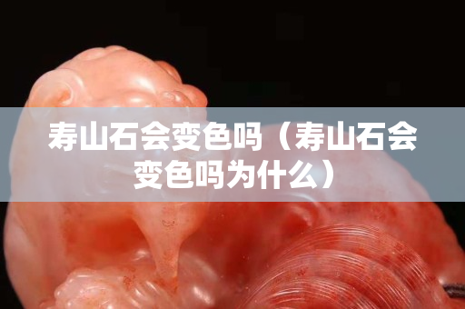 壽山石會變色嗎（壽山石會變色嗎為什么）