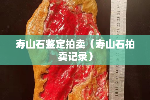 壽山石鑒定拍賣（壽山石拍賣記錄）