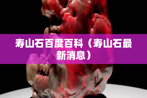壽山石百度百科（壽山石最新消息）