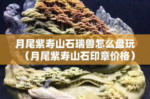 月尾紫壽山石瑞獸怎么盤玩（月尾紫壽山石印章價格）