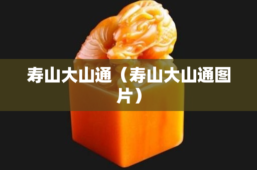 壽山大山通（壽山大山通圖片）
