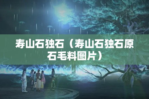 壽山石獨石（壽山石獨石原石毛料圖片）