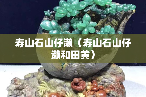 壽山石山仔瀨（壽山石山仔瀨和田黃）