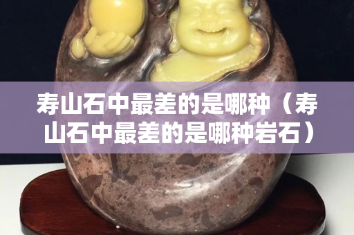 壽山石中最差的是哪種（壽山石中最差的是哪種巖石）