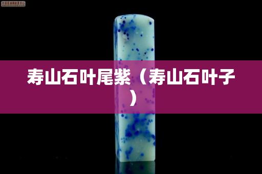 壽山石葉尾紫（壽山石葉子）