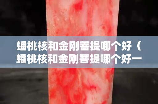 蟠桃核和金剛菩提哪個好（蟠桃核和金剛菩提哪個好一點）