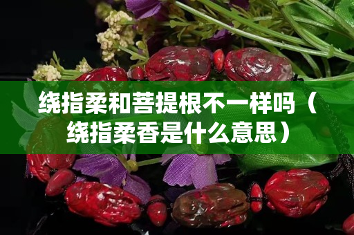 繞指柔和菩提根不一樣嗎（繞指柔香是什么意思）