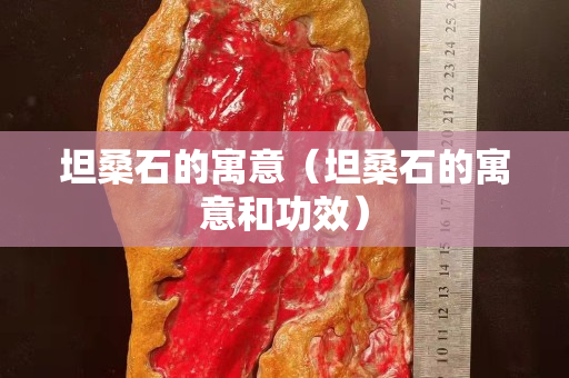 坦桑石的寓意（坦桑石的寓意和功效）