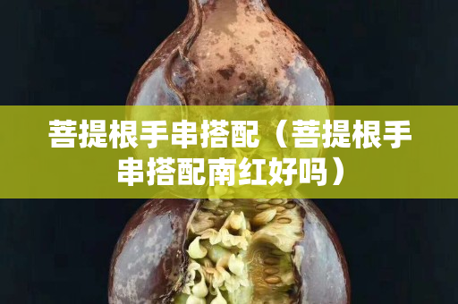 菩提根手串搭配（菩提根手串搭配南紅好嗎）
