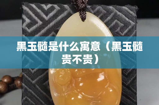 黑玉髓是什么寓意（黑玉髓貴不貴）