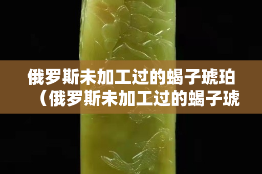 俄羅斯未加工過的蝎子琥珀（俄羅斯未加工過的蝎子琥珀是真的嗎）