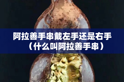 阿拉善手串戴左手還是右手（什么叫阿拉善手串）