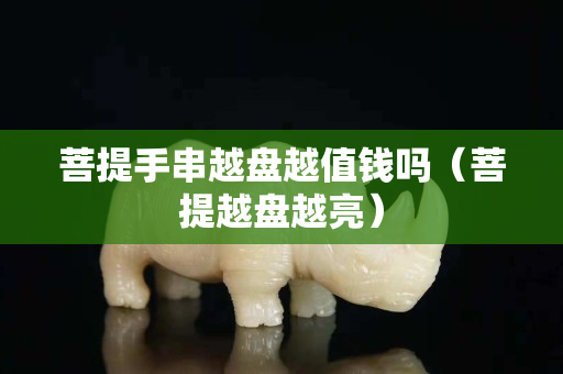 菩提手串越盤越值錢嗎（菩提越盤越亮）