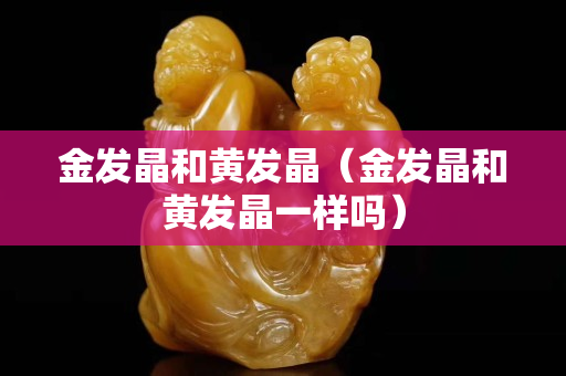 金發晶和黃發晶（金發晶和黃發晶一樣嗎）