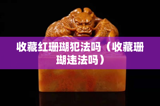 收藏紅珊瑚犯法嗎（收藏珊瑚違法嗎）