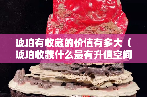 琥珀有收藏的價值有多大（琥珀收藏什么最有升值空間）