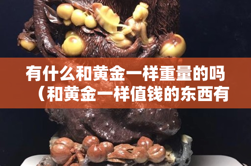 有什么和黃金一樣重量的嗎（和黃金一樣值錢的東西有哪些）