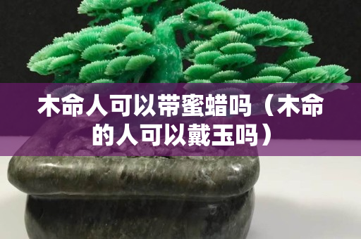 木命人可以帶蜜蠟嗎（木命的人可以戴玉嗎）