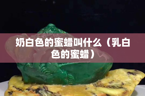 奶白色的蜜蠟叫什么（乳白色的蜜蠟）