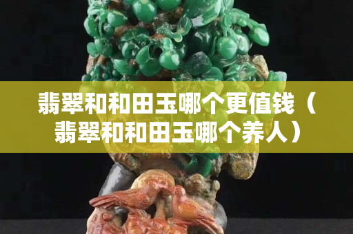 翡翠和和田玉哪個更值錢（翡翠和和田玉哪個養人）