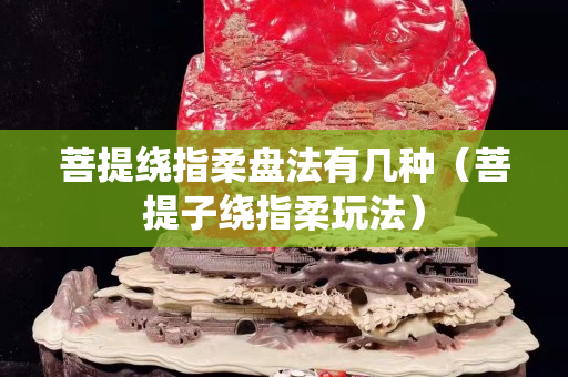 菩提繞指柔盤法有幾種（菩提子繞指柔玩法）