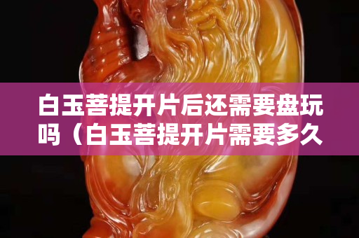 白玉菩提開片后還需要盤玩嗎（白玉菩提開片需要多久）