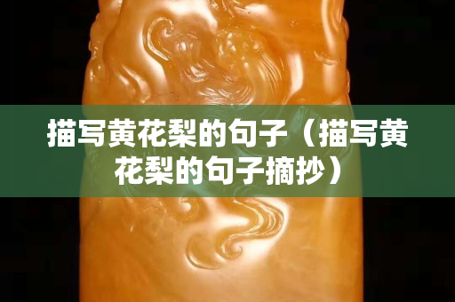 描寫黃花梨的句子（描寫黃花梨的句子摘抄）