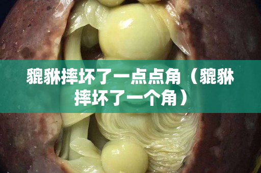 貔貅摔壞了一點點角（貔貅摔壞了一個角）