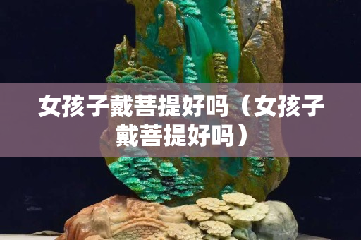 女孩子戴菩提好嗎（女孩子戴菩提好嗎）