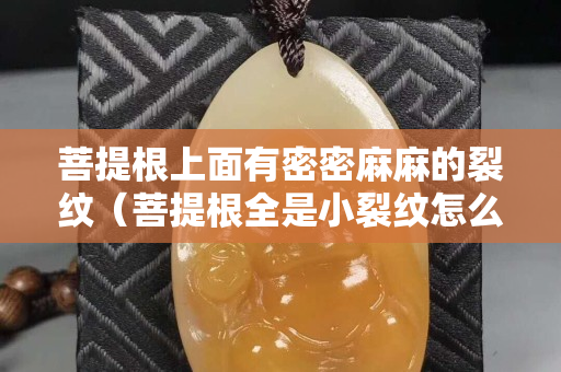 菩提根上面有密密麻麻的裂紋（菩提根全是小裂紋怎么辦）