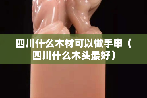 四川什么木材可以做手串（四川什么木頭最好）