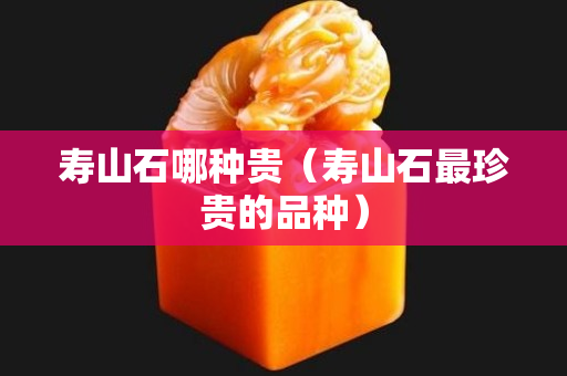 壽山石哪種貴（壽山石最珍貴的品種）