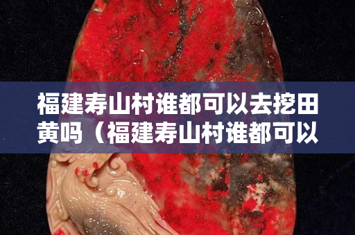 福建壽山村誰都可以去挖田黃嗎（福建壽山村誰都可以去挖田黃嗎視頻）