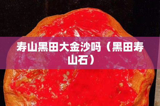 壽山黑田大金沙嗎（黑田壽山石）
