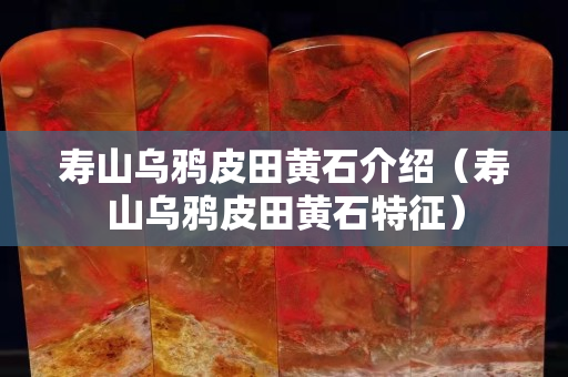 壽山烏鴉皮田黃石介紹（壽山烏鴉皮田黃石特征）