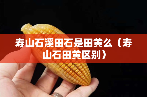 壽山石溪田石是田黃么（壽山石田黃區別）