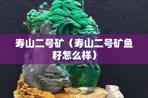 壽山二號礦（壽山二號礦魚籽怎么樣）