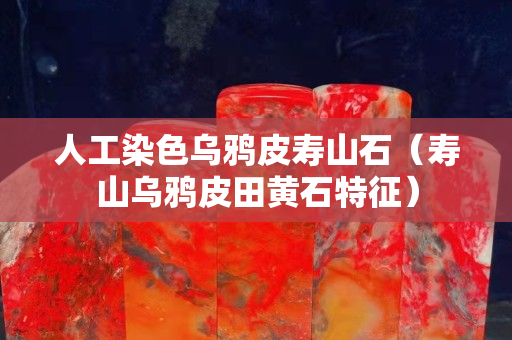 人工染色烏鴉皮壽山石（壽山烏鴉皮田黃石特征）