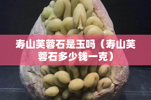 壽山芙蓉石是玉嗎（壽山芙蓉石多少錢一克）