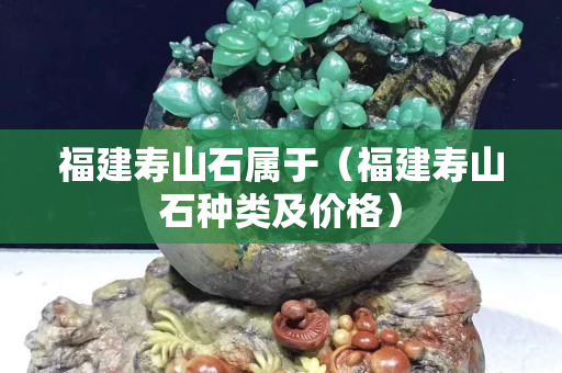 福建壽山石屬于（福建壽山石種類及價格）