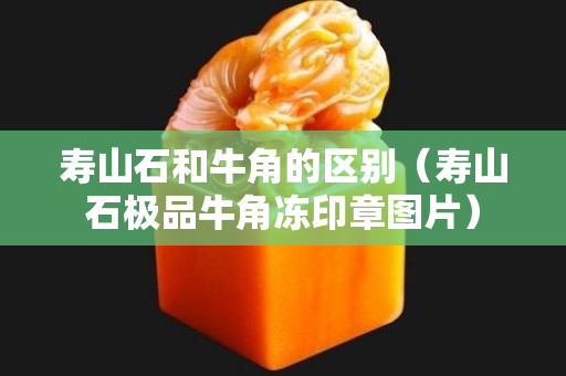 壽山石和牛角的區別（壽山石極品牛角凍印章圖片）